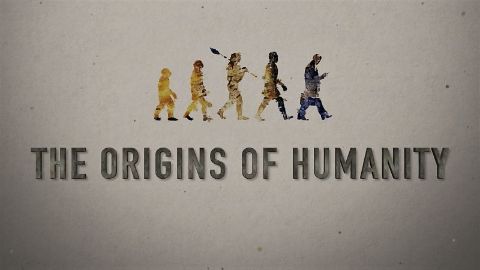 The Origins of Humanity