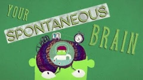 How spontaneous Brain Activity Keeps You Alive