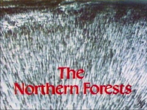 The Northern Forests